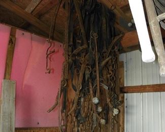 assortment of horse tack