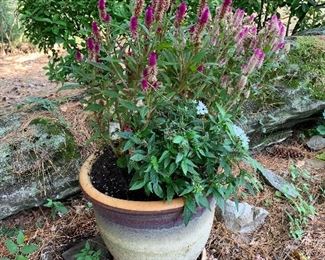 Flower pots and flowers