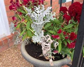 Flower pots