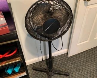 fans
