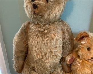 19 inch Steiff teddy bear