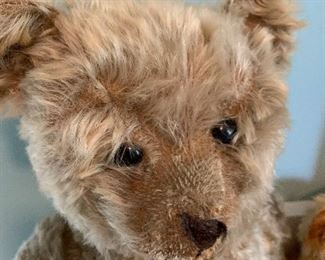 19 inch Steiff