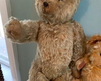 19 inch Steiff