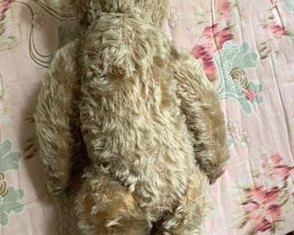 19 inch Steiff