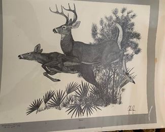 Glenn Gore prints, many framed many in collector album