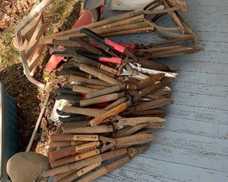 Rusted hedge clippers