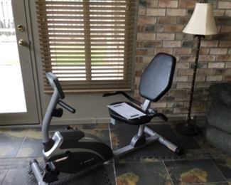 Excerpeutic recumbent bike