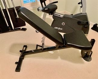 Inspire weight bench