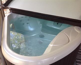 Inside the Hot Tub.  It's in excellent condition.