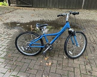 Giant Girls bike