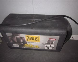Everlast Weights