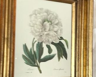 Paintings- signed