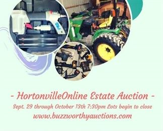 Hortonville Online Estate Auction flyer