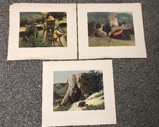 Vintage 1960's Stan Galli Wildlife Prints