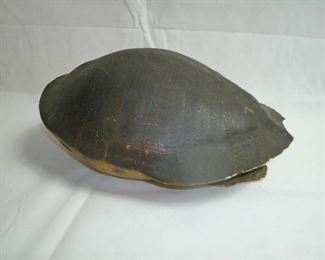 ANTIQUE TURTLE SHELL