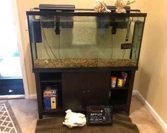 Aquarium you need some goldfish in your life, they're colorful and hardly need any keeping. Perfect starter pet.