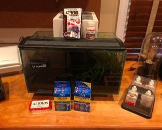 Here's a smaller aquarium you can raise sea monkeys in this perfect for the commitment phobic