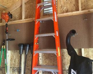 That's a tall @ss ladder!