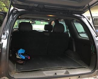 You can fit a family of bears in there!
