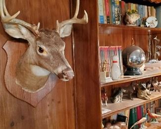 2 Deer