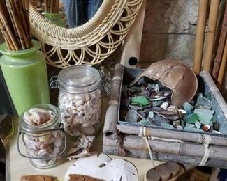 sea glass, shells, sand dollars, bamboo