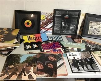 Beetles Collection