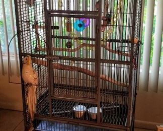 Large bird cage