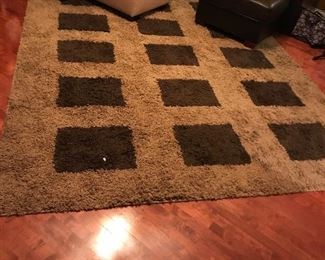 Nice large area rug