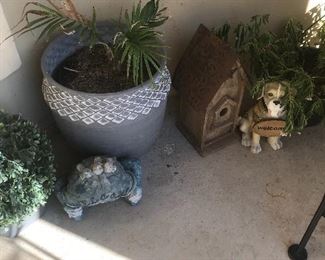 Outdoor plants/pottery