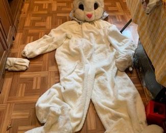 #63 rabbit costume with hard head $30.00