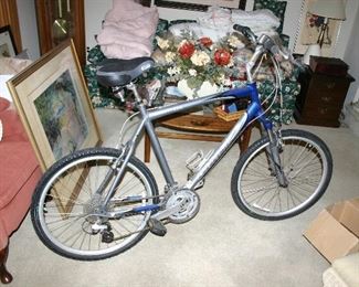 Giant Sedona Mountain Bike with Front suspension large silver & blue mens bicycle