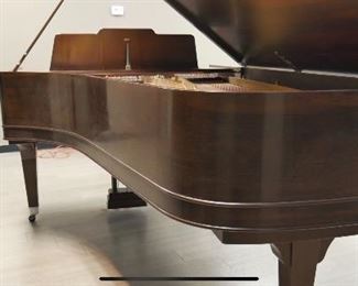 C75 #1 1877 Steinway Sons Semi Concert Grand Model C 7 .5 ft Rosewood Case Beautifully Immaculately Totally Restored Condition #35845
Restrung piano. Guilded plate. Refinished/repaired sound board and bridges. All new hammers and repetitions (action parts). New dampers. All major components have been made new.