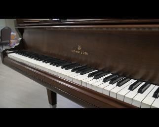 C75 #1 1877 Steinway Sons Semi Concert Grand Model C 7 .5 ft Rosewood Case Beautifully Immaculately Totally Restored Condition #35845
Restrung piano. Guilded plate. Refinished/repaired sound board and bridges. All new hammers and repetitions (action parts). New dampers. All major components have been made new. 