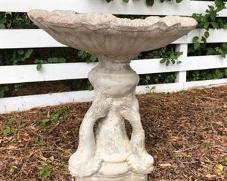 Bird Bath