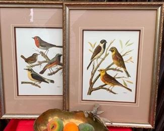 Bird Pictures