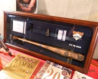 Coopertown case