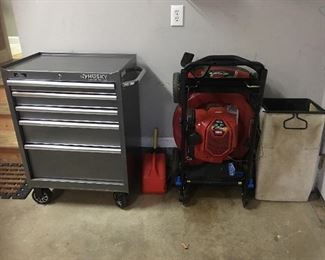 Husky Limited Edition ball bearing tool box
Toro Recycler 22” Smart Stow push lawn mower