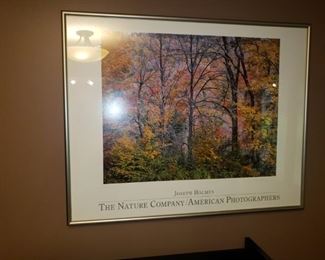Framed poster The Natuere Company/American Photographers