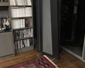 DIVA Speakers, by Apogee Acoustics, Inc Ribbon speakers.