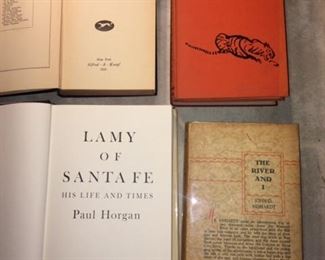 and more New Mexico books