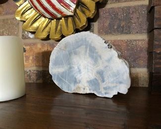 Slice of Petrified Wood