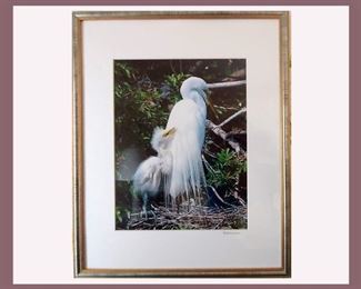 Lovely Heron and Baby Framed and Signed Picture 