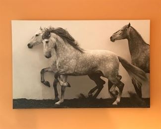 Horse Canvas