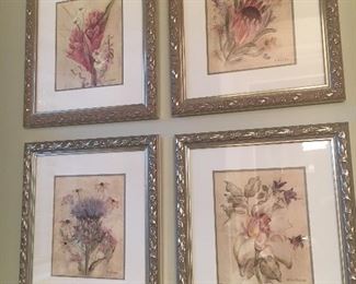 Set of four framed botanicals