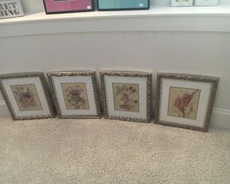 Four framed botanicals