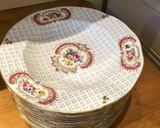 Twelve Cauldon porcelain floral painted plates circa 1900. Each plate is 9.75" in diameter.  Valued at $800 - $1200 asking $680