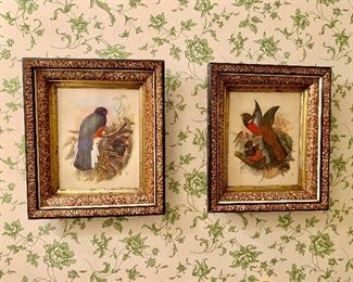 Bird prints
