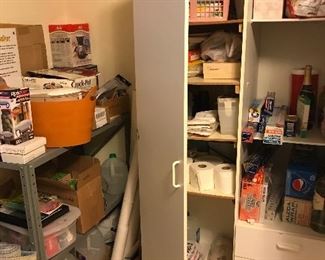 Storage cabinet and goods