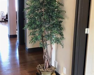 Faux Ficus in brass planter