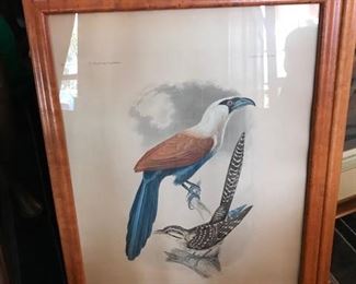 Titian Ramsey Peale bird hand colored engravings c. 1858 set of 4
